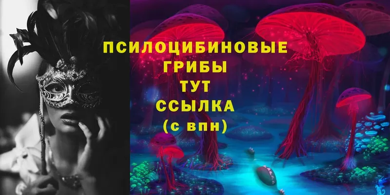 Псилоцибиновые грибы Psilocybine cubensis Александров